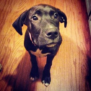 Meet your Posher, Marc